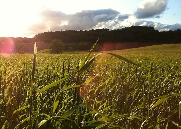 Chata Bea Hive Ostrzyce